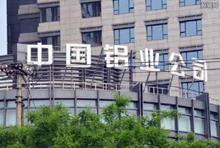 中国铝业分公司排放危险废物 已全面开展调查处置工作